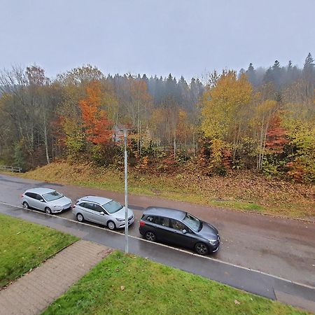 2 Rooms Apartment In Triberg Triberg im Schwarzwald Eksteriør bilde